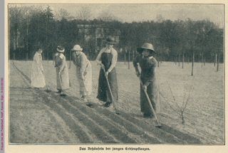 Frauen bei der Feldarbeit